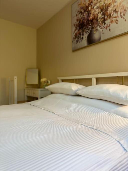Appartamento Stylish 2 Bedrooms Flat In A Quiet Cul-de-sac Area, Near Centre With Free Parking