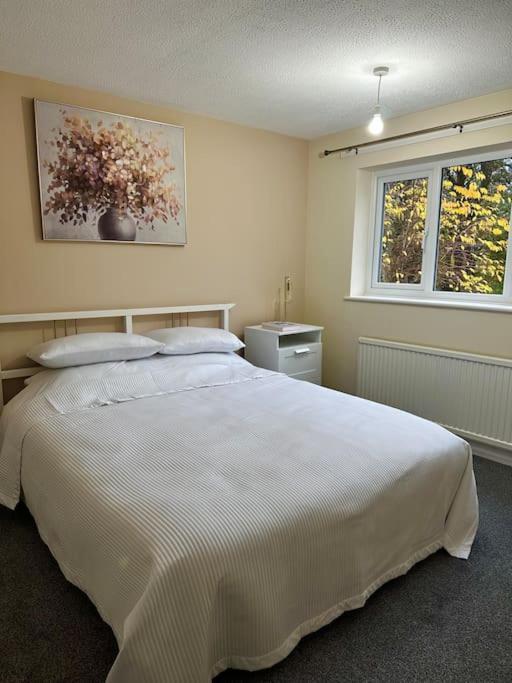 Stylish 2 Bedrooms Flat In A Quiet Cul-de-sac Area, Near Centre With Free Parking Sheffield